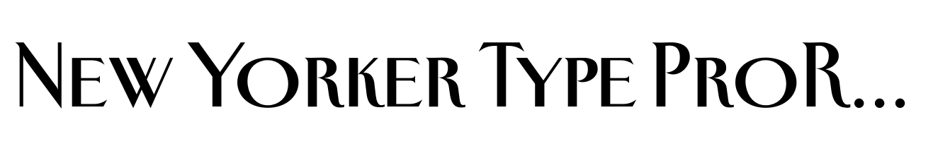 New Yorker Type Pro Regular